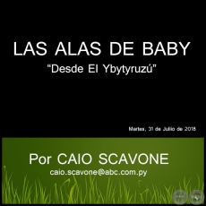 LAS ALAS DE BABY - Desde El Ybytyruzú - Por CAIO SCAVONE - Martes, 31 de Juliio de 2018